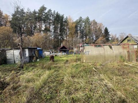 dacha-derevnya-rekshino-gorodskoy-okrug-bor фото