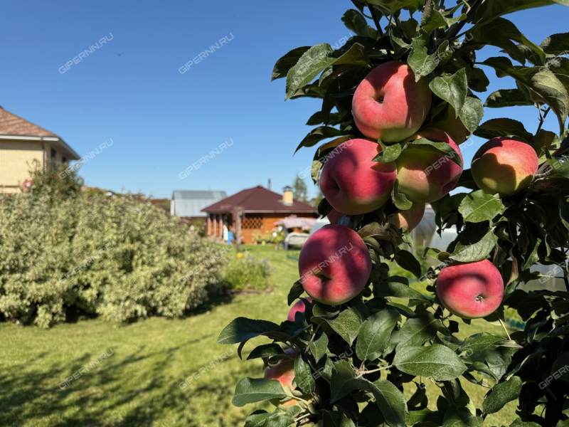 дом на улице Физкультурная деревня Бурцево