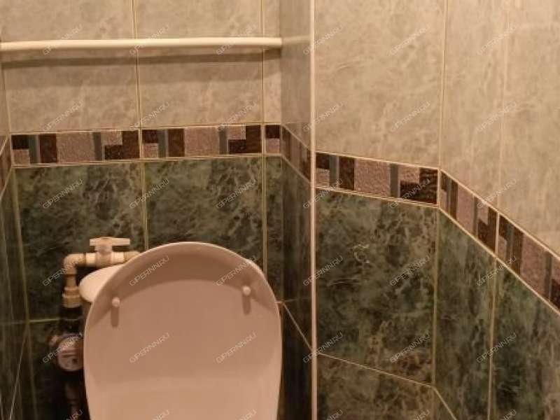 четырёхкомнатная квартира на  дом 19 посёлок Селекционной станции