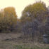 земельный участок 12 соток село Каменки
