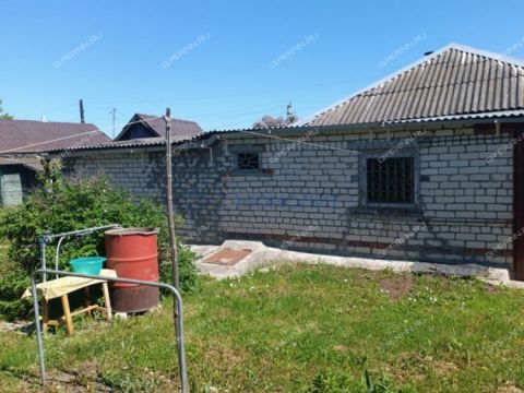 dom-selo-bolshie-kemary-perevozskiy-gorodskoy-okrug фото
