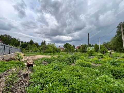 derevnya-zabore-gorodskoy-okrug-bor фото