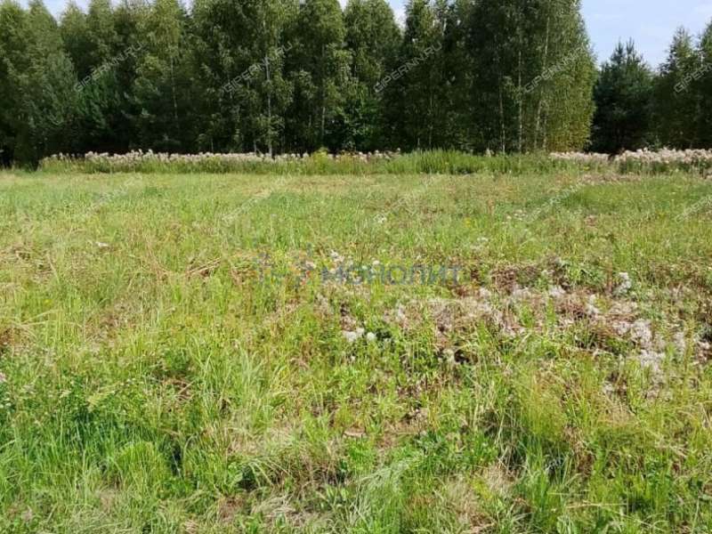 земельный участок 6,3 сотки улица Дубинина посёлок Гавриловка