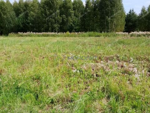 poselok-gavrilovka-gorodskoy-okrug-dzerzhinsk фото