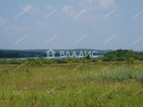 derevnya-inyutino-bogorodskiy-municipalnyy-okrug фото