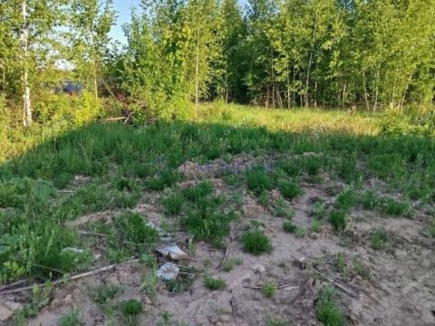 rabochiy-poselok-lukino-balahninskiy-municipalnyy-okrug фото