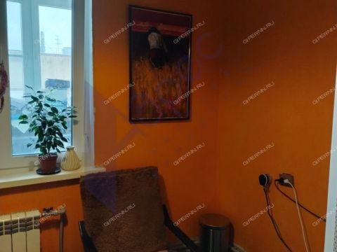 1-komnatnaya-derevnya-afonino-kstovskiy-rayon фото