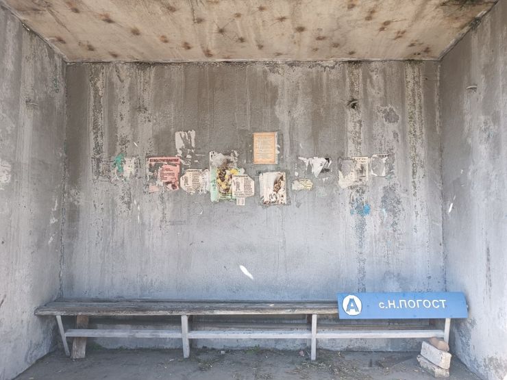 Фото: Валерия Ложкина / gipernn.ru