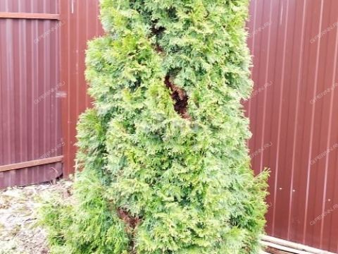 dom-ul-agronomicheskaya-d-95 фото