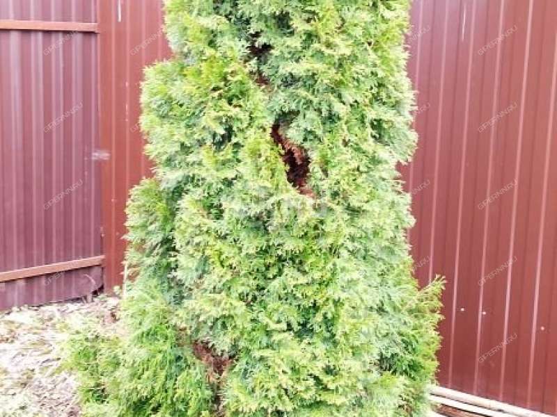 дом на Агрономической улице