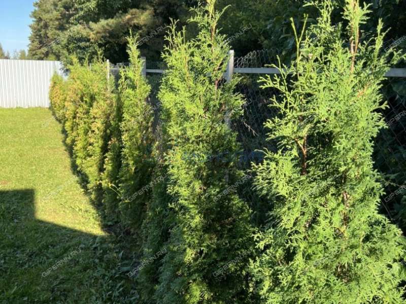 дом на улице Саврасова село Каменки