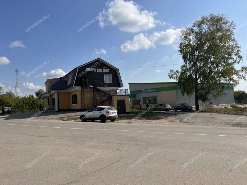 дом на улице Шоссейная Нижегородец сп