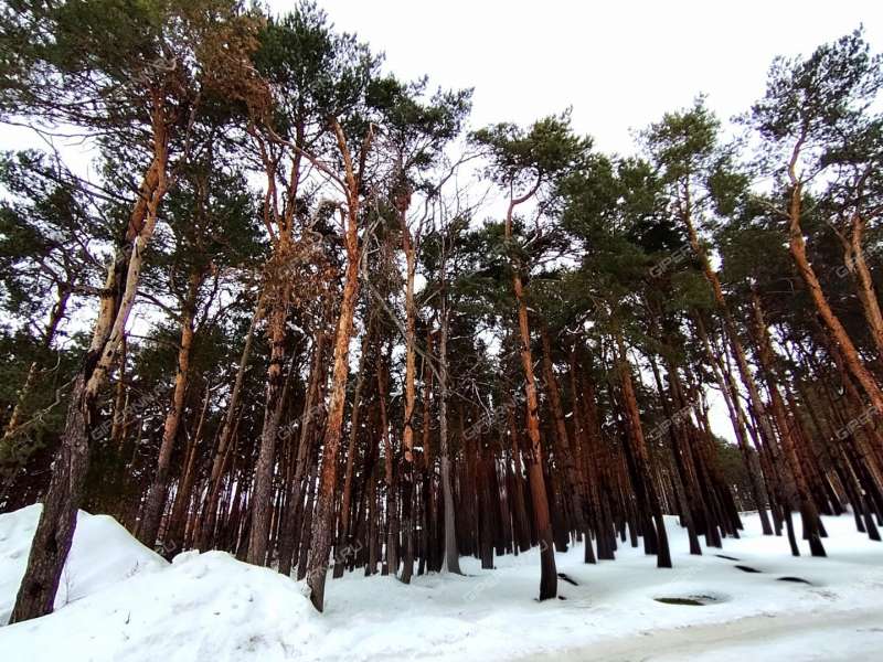 однокомнатная квартира на 4 посёлок Дружный