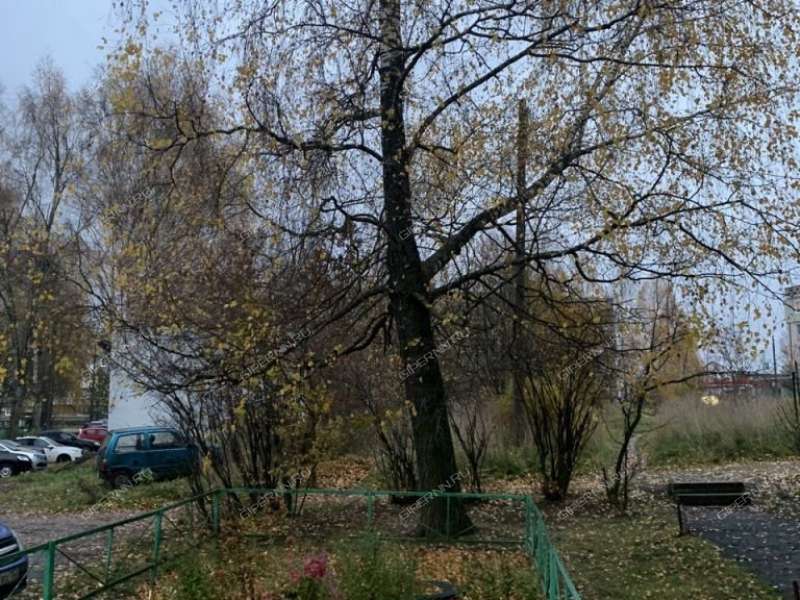 трёхкомнатная квартира на улице Гагарина дом 16 город Ворсма