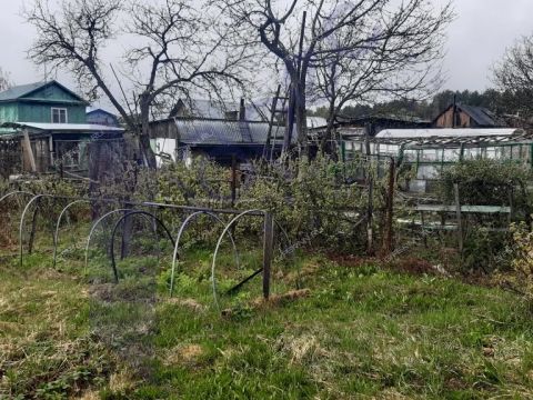 dacha-derevnya-aleshino-semenovskiy-gorodskoy-okrug фото