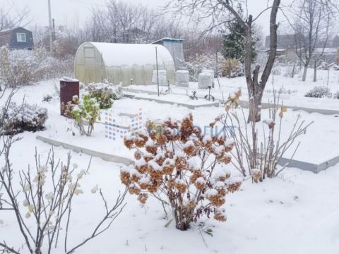 avtozavodskiy-rayon фото