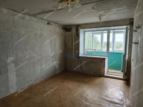 1-komnatnaya-poselok-druzhnyy-kstovskiy-rayon фото