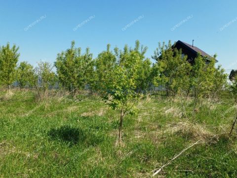 rabochiy-poselok-maloe-kozino-balahninskiy-municipalnyy-okrug фото