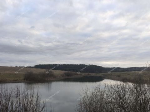 selo-svoboda-vadskiy-municipalnyy-okrug фото