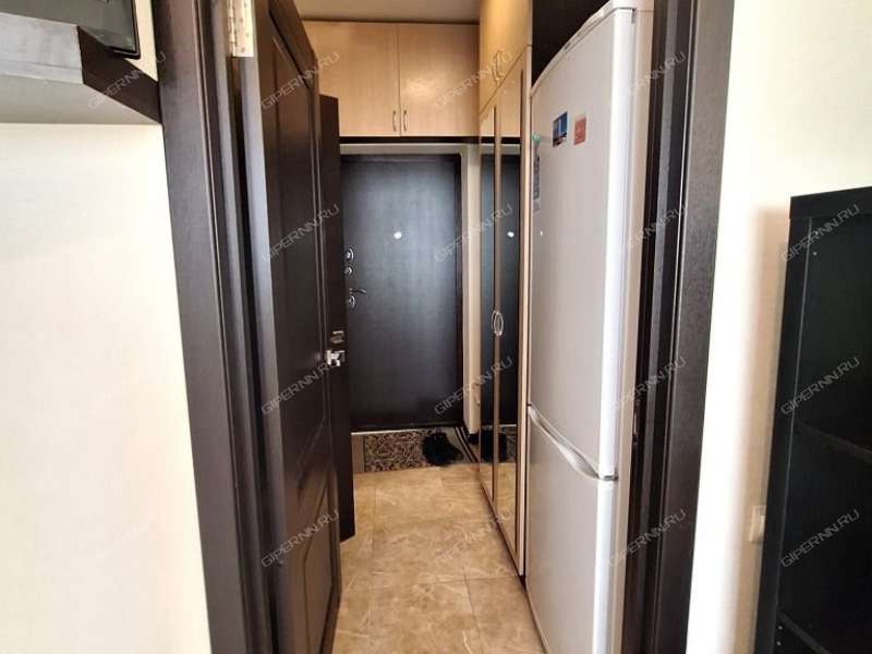 квартира-студия на Русской улице улице дом 1 деревня Анкудиновка