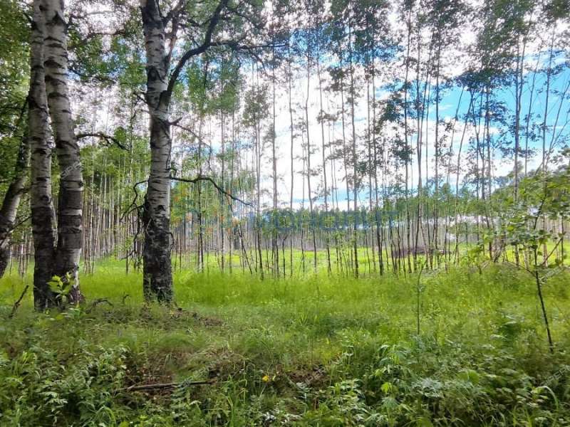 земельный участок под сельхоз назначение в городском округе Сокольский Нижегородской области