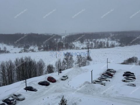 1-komnatnaya-derevnya-utechino-kstovskiy-rayon фото