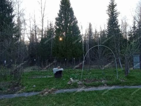dacha-derevnya-shoniha-bogorodskiy-municipalnyy-okrug фото