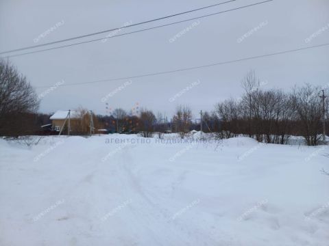 derevnya-kozhevennoe-bogorodskiy-municipalnyy-okrug фото