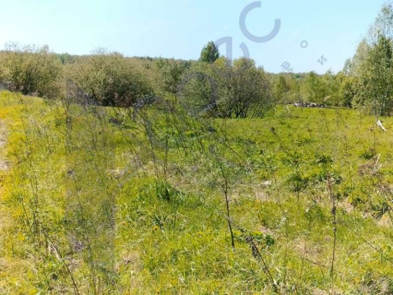 земельный участок под коммерческое использование в городском округе Сокольский Нижегородской области