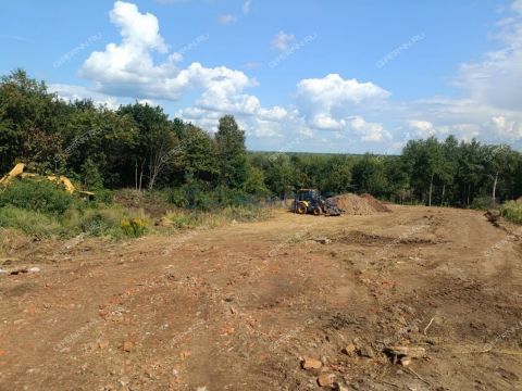 derevnya-afonino-kstovskiy-rayon фото