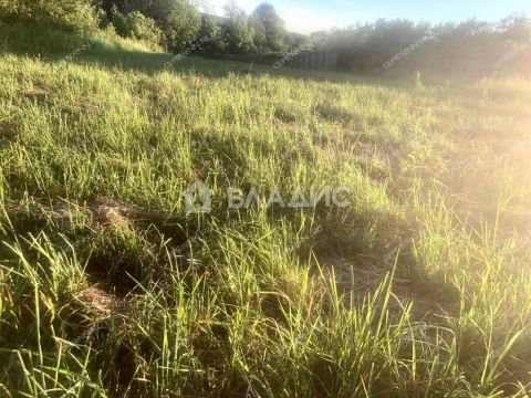 derevnya-gremyachki-bogorodskiy-municipalnyy-okrug фото