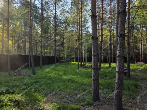 dom-derevnya-aleksandrovka-dalnekonstantinovskiy-rayon фото