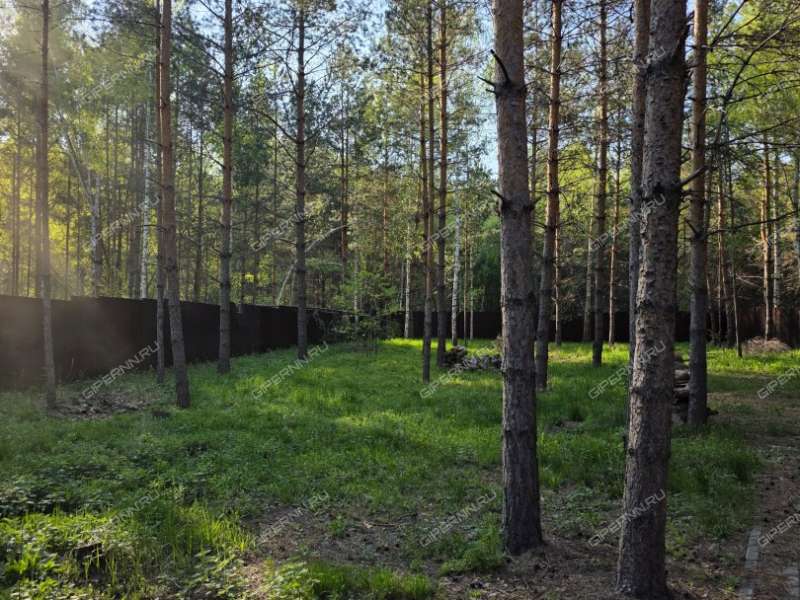 дом на улице Лесная деревня Александровка