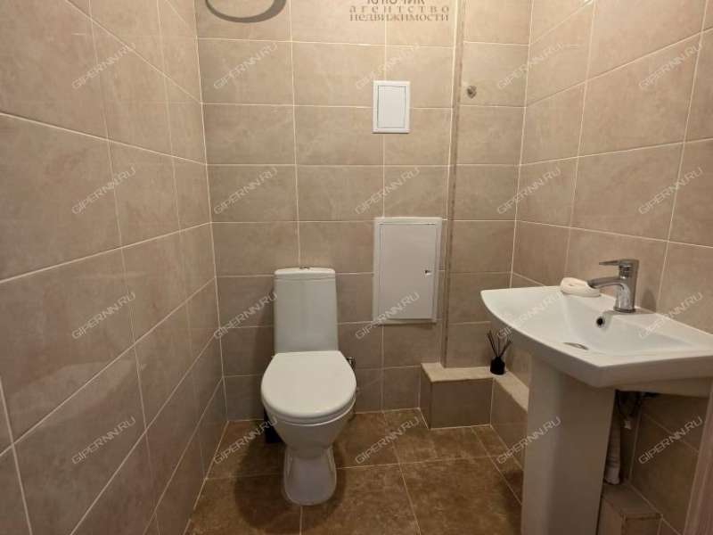 трёхкомнатная квартира на Русской улице улице дом 17 деревня Анкудиновка