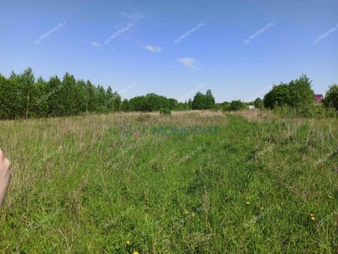 selo-kamenki-bogorodskiy-municipalnyy-okrug фото