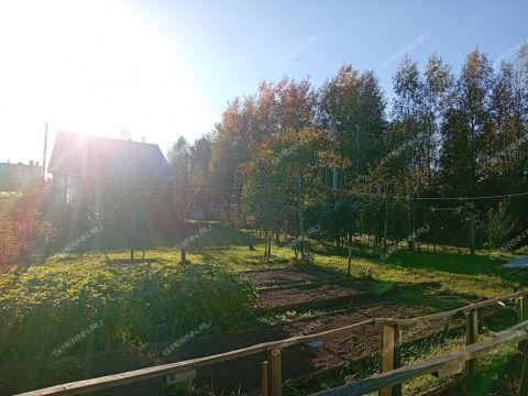 dacha-rabochiy-poselok-bolshoe-kozino-balahninskiy-municipalnyy-okrug фото