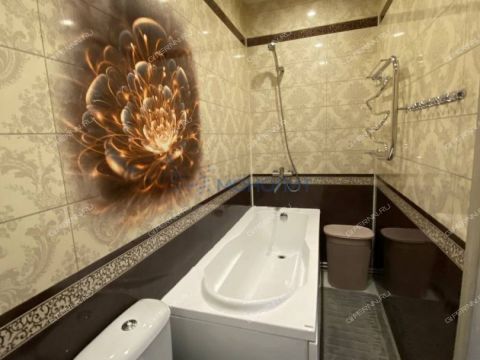 2-komnatnaya-selo-aleshkovo-bogorodskiy-municipalnyy-okrug фото