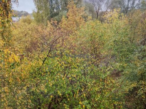 2-komnatnaya-ul-beregovaya-d-14 фото