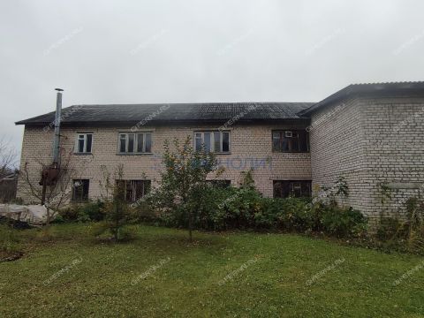 selo-smolki-gorodeckiy-rayon фото