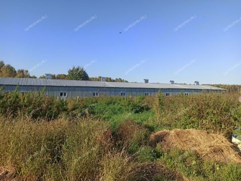 selo-redkino-gorodskoy-okrug-bor фото