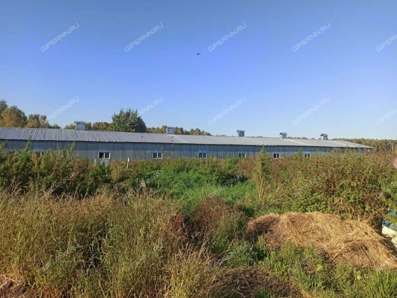 земельный участок под сельхоз назначение в городском округе Бор Нижегородской области