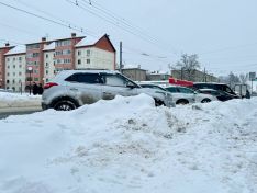 Нижегородцы жалуются на отключения интернета, вонь и нечищеный снег