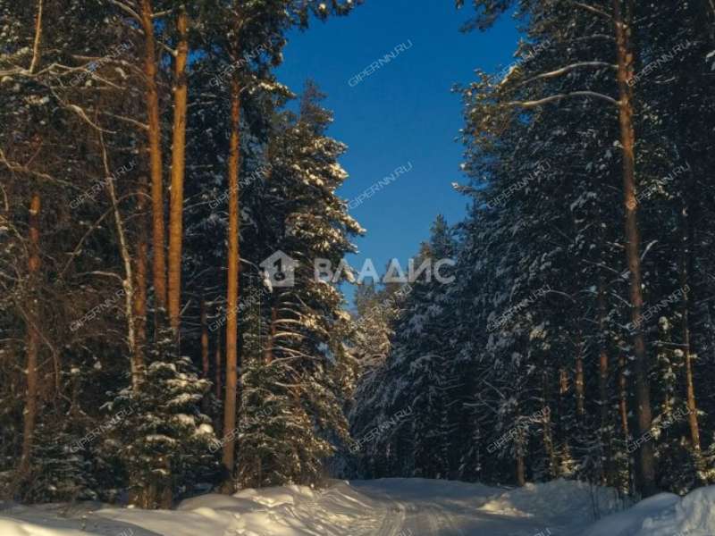 земельный участок 15 соток 80 деревня Старые Ключищи