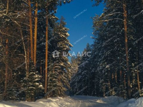 derevnya-starye-klyuchishhi-kstovskiy-rayon фото