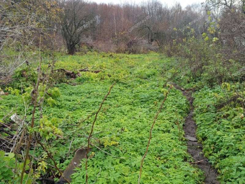 земельный участок 15 соток улица Дениса Давыдова