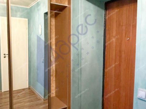 1-komnatnaya-b-r-zarechnyy-d-1 фото