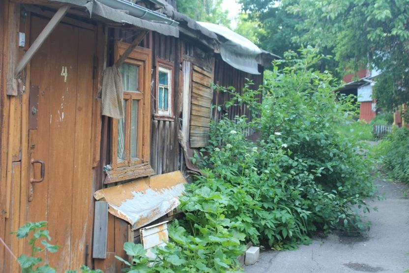 Фото: Анна Синаревская / gipernn.ru