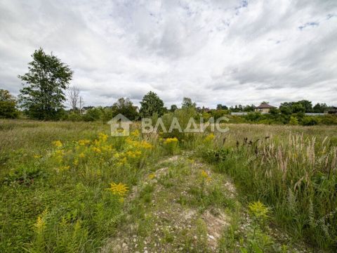 derevnya-prudy-bogorodskiy-municipalnyy-okrug фото