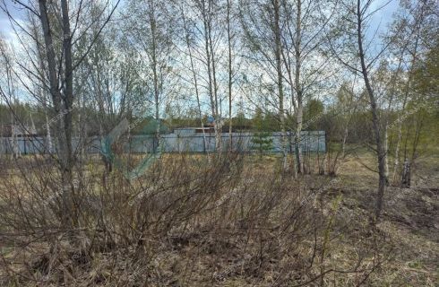 Лисьи ямки погода нижегородская область. Лисьи ямки 2 Нижегородская область.