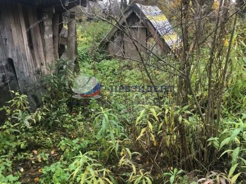 derevnya-lapino-gorodskoy-okrug-bor фото